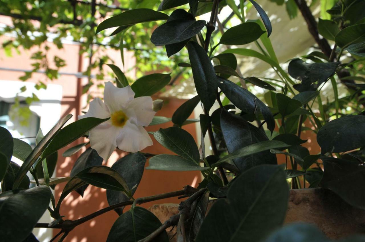 Casa Cifali Taormina Eksteriør bilde